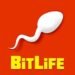 Logo de BitLife, une application de rencontre, avec un design moderne et coloré, boîte contenant des cœurs entrelacés.